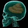 スケルトンマンⅡ profil fotoğrafı