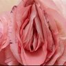 القعقاع profil fotoğrafı