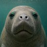 Profilbild von I'm me. Is that you?