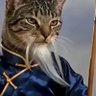 𝓦𝓲𝓼𝓮𝓒𝓪𝓽's profile picture