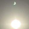 Daysha's profile picture