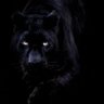 Anastasia's profile picture