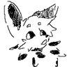Profilbild von ShuttleTheJolt