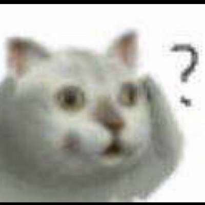 meow 🐱's profile picture
