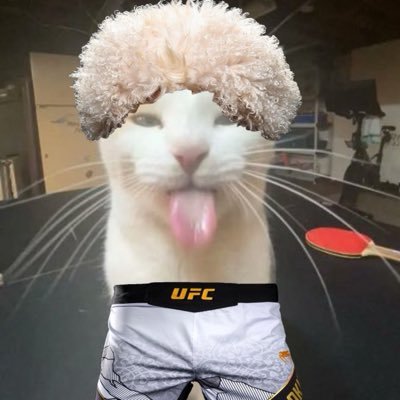 Monric 🇧🇷🇺🇸's profile picture