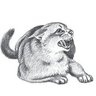 Yann (comms open)'s profile picture
