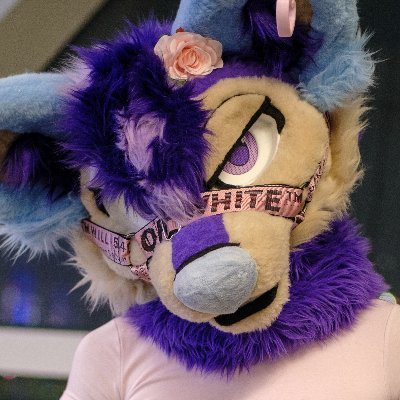 Shy !! :3 🔜 AQF's profile picture