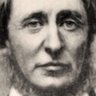 Profilbild von Noel Hoig