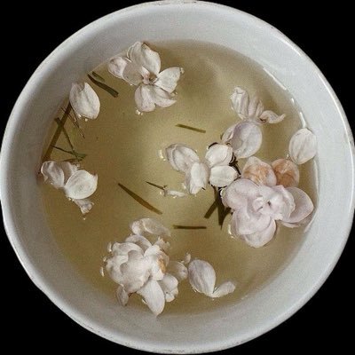 ivasmuse's profile picture