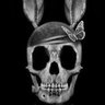 Profilbild von 🐰🐇🇧🇷 CoelhÖ 🇧🇷🐰🥕