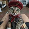 Фото профиля GATITO COMUNISTA 🍎