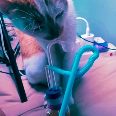 pitipiwpiw_wiw1's profile picture