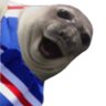The Seal 的头像