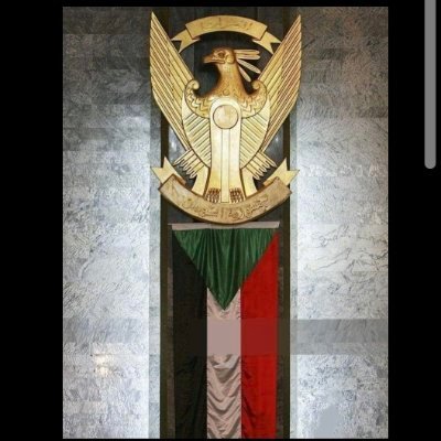 HASSAN⁵⁶ 🇵🇸's profile picture