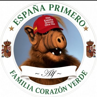 ALF ¡¡ Lucky gato maaaalo!! 🇪🇸 💚's profile picture