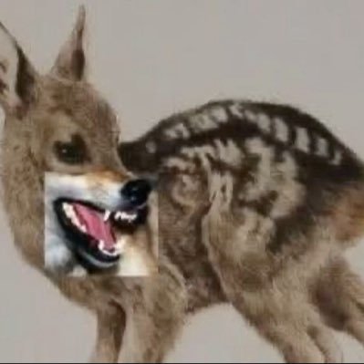 rhy's profile picture