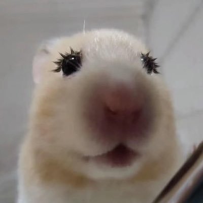 잠잠이..'s profile picture
