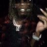 Tonka's profile picture