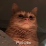 Profilbild von .matin