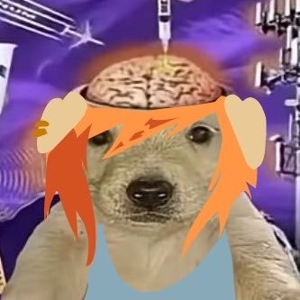Tek's profile picture