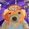 Tek's profile picture