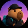 𝐒𝐞𝐞𝐤𝐞𝐫's profile picture