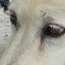 Photo Saitama's profile picture