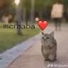 oclarla mucadele's profile picture