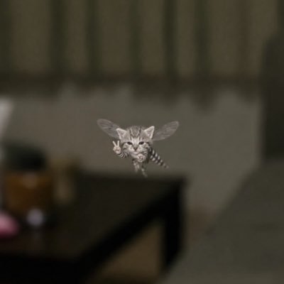 nekotineeeee's profile picture
