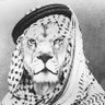 علــــي 的头像