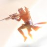 Profilbild von Icarus!