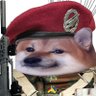 Parabellum_NAFO 🇩🇪🇪🇺🇺🇦's profile picture