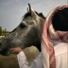 محمـد بـن مسعُـود's profile picture