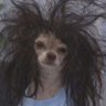 geminianja's profile picture
