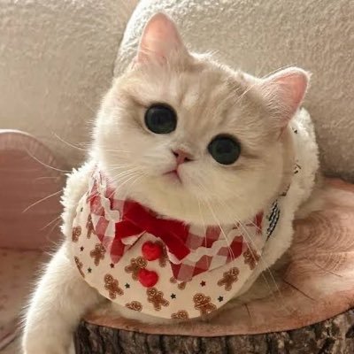 AndreaRuthdl's profile picture