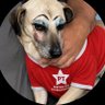 Domenicaahhh's profile picture