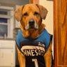 Dovahkiin🐺🌲⚔️🐕's profile picture
