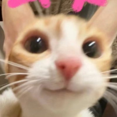 alvinboyfps's profile picture