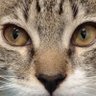 Profilbild von Abril