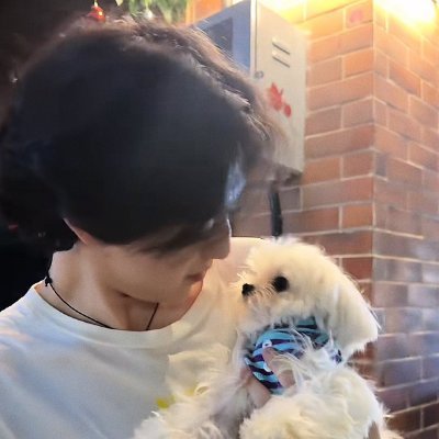 🎮🐻•チャダ-• 🏐 ชิงแชมป์เอเชียing's profile picture