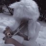 ıppyi 的头像