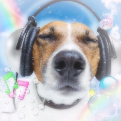 XDJDOG88's profile picture