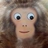 Schizo Monkey Simulator profil fotoğrafı