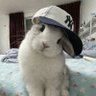 Profilbild von hoovin