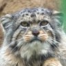 i-nos's profile picture