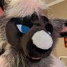 Profilbild von human sized dog bed 👁️ MP 🫠 Shearly / flitter