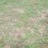 ஏழை விவசாயி .poor farmer 的头像