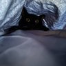 Profilbild von luna.