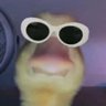 Profilbild von Only Wrong Answers