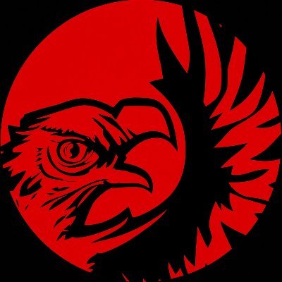 one_red_hawk's profile picture